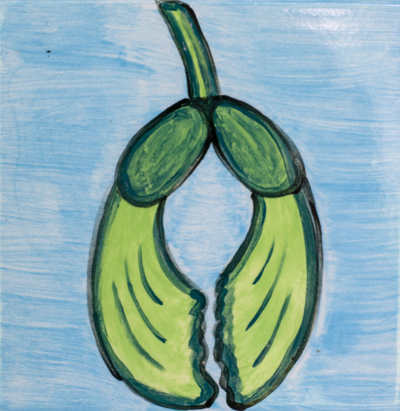 Painting of a green samara seed pod over a blue background.