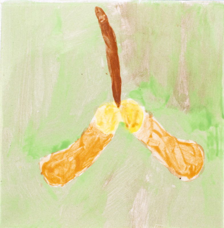 Painting of a brown and yellow samara seed with two wing-like blades against a soft green background.