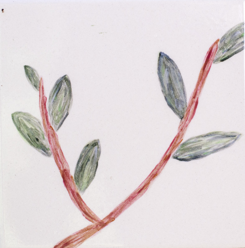 Painting of branch with dark green oval leaves against white background.