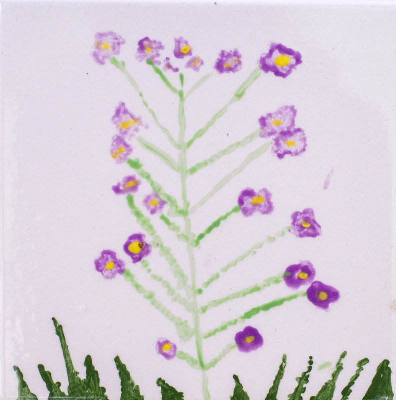 Painting of purple flowers with yellow centers on a tall green stem, with green grass at the bottom.