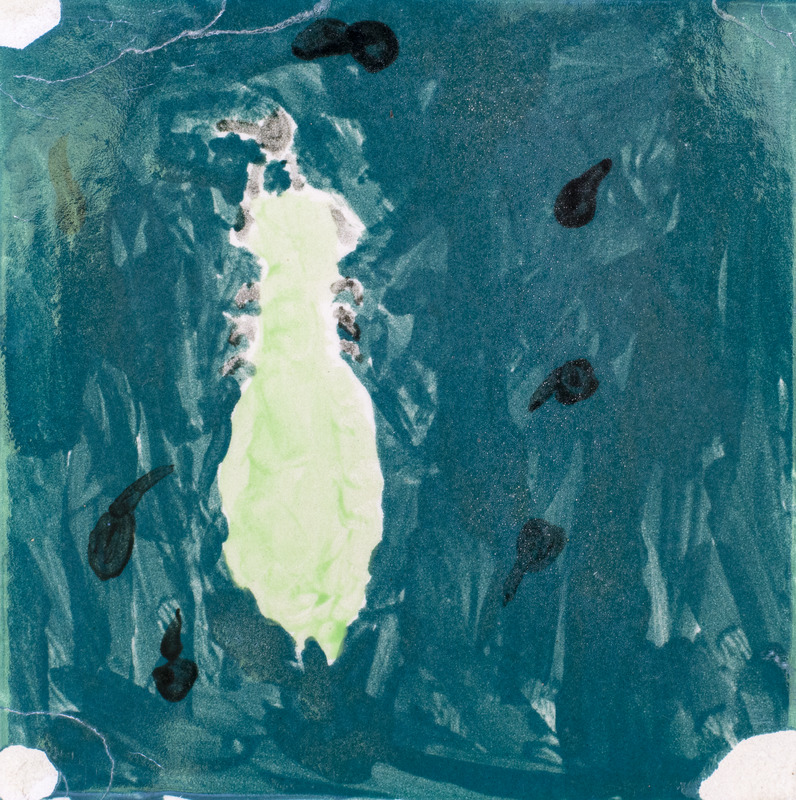 Painting of a dragonfly nymph with a teal background.