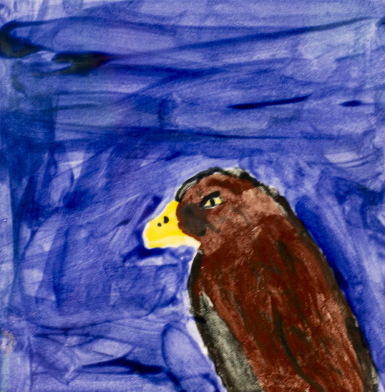 Painting of a brown hawk with a dark blue background.