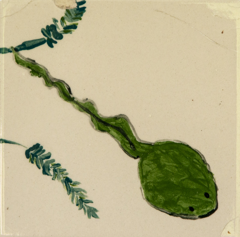 Painting of a green tadpole with a long wavy tail, swimming among plants.