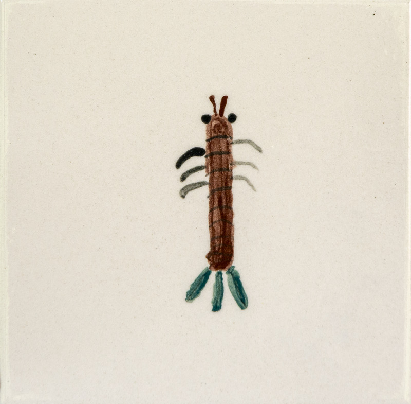 Painting of a brown damselfly with big eyes, short side legs, and blue tail.