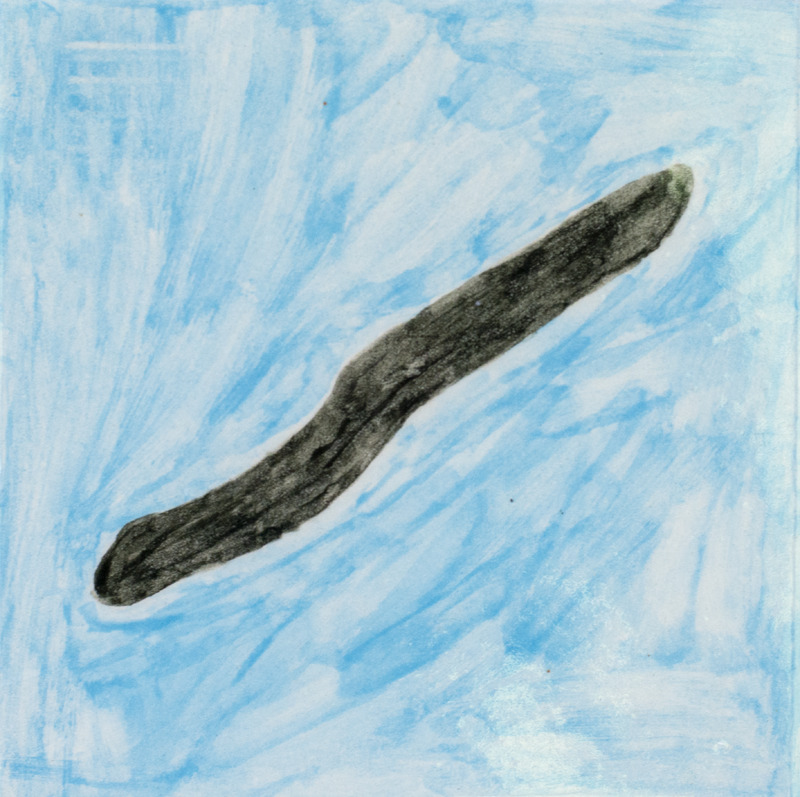 Painting of a black leech in blue water.