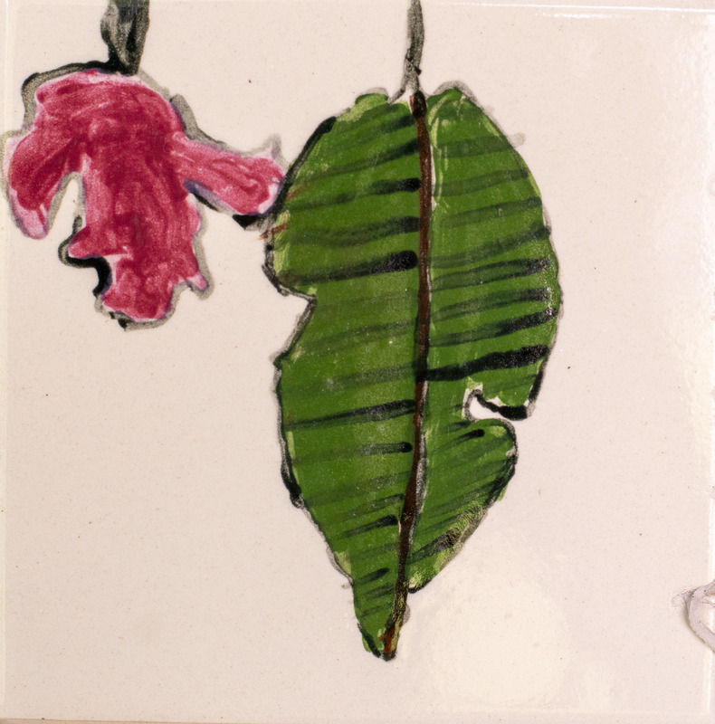 Painting of a green walnut tree leaf and a red maple tree leaf over a light pink background.