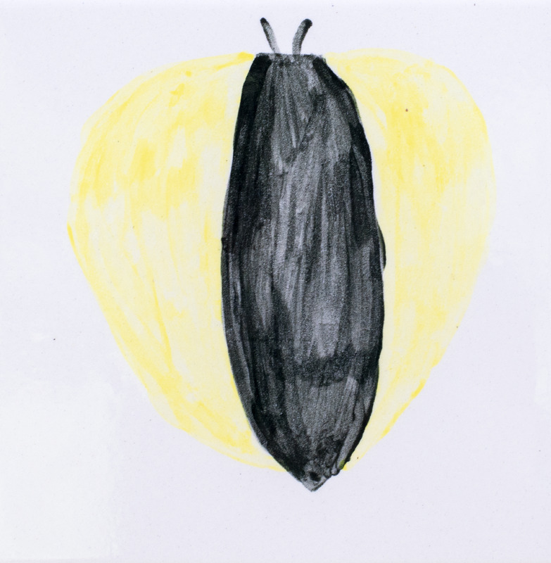 Painting of black and yellow wingstem seed.