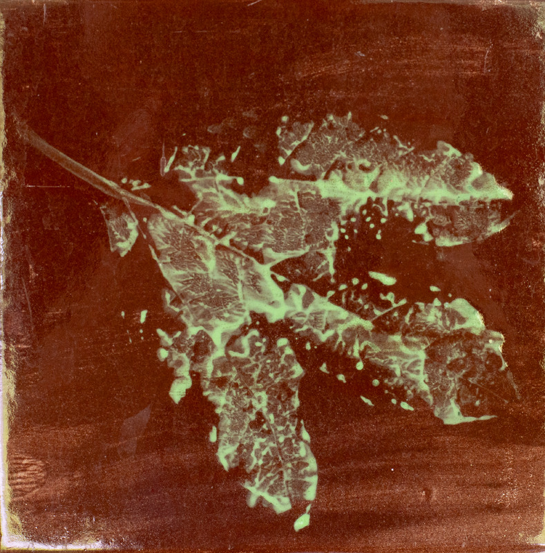 Print of a green leaf with three prongs over a brown background.