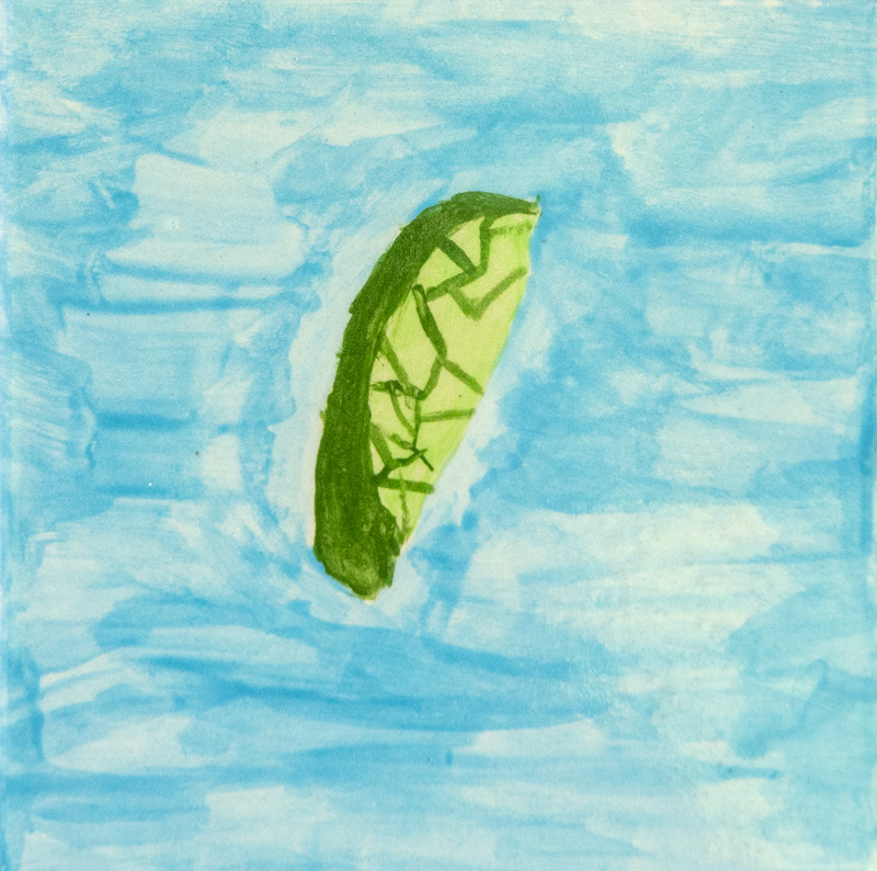 Painting of a green water bug floating in light blue water.