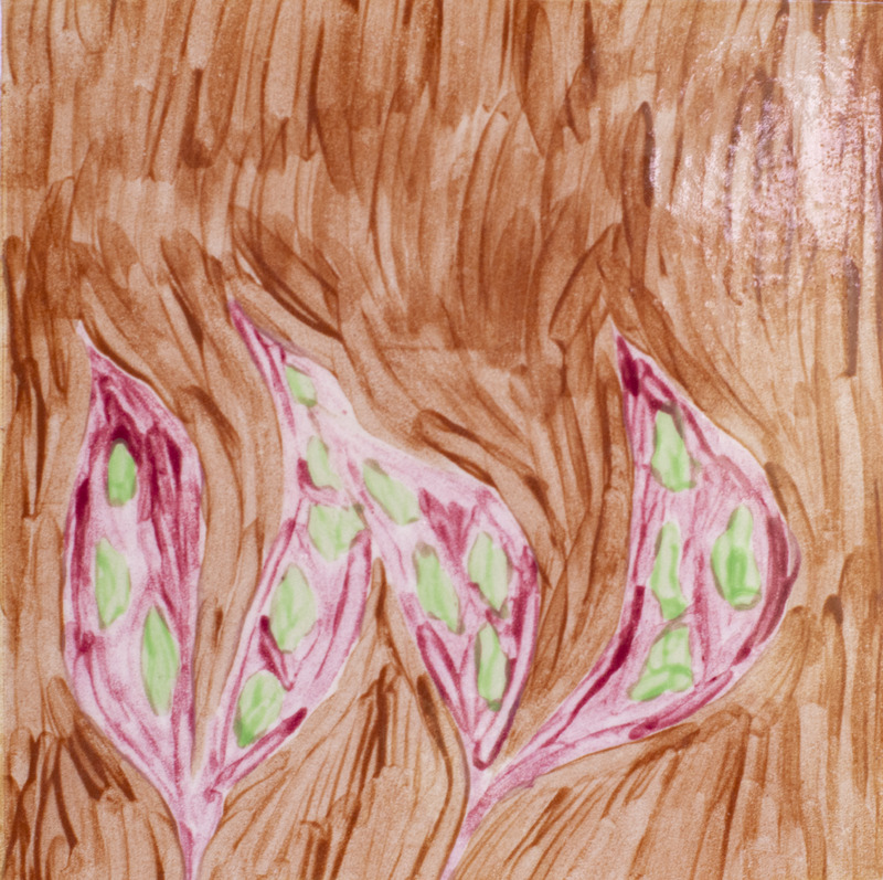 Painting of pink trout-lily leaves that are spotted with green, in front of a green background.