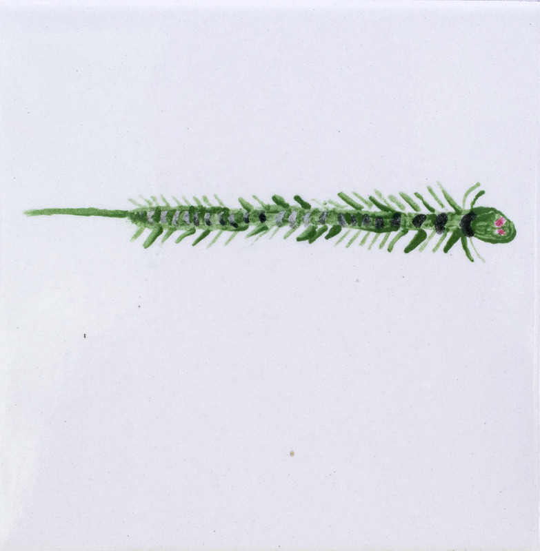 Painting of a green centipede with red eyes in front of a white background.