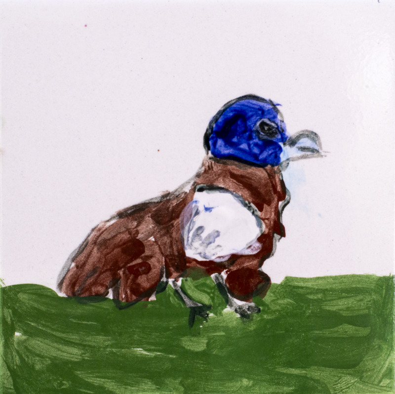 Painting of brown bird with blue head sitting in the grass against white background.