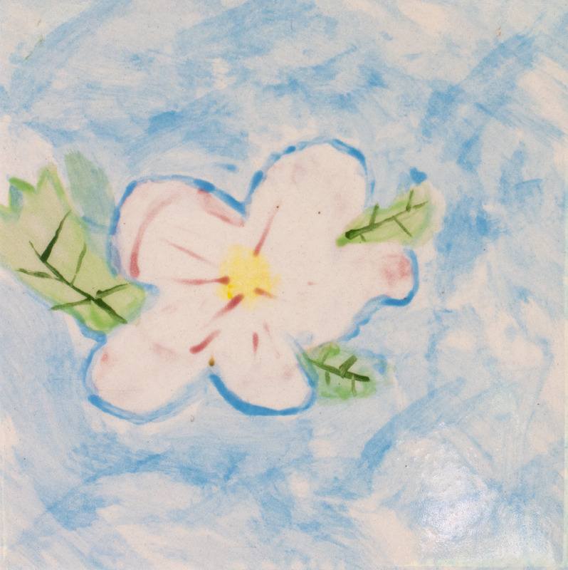 Painting of a white and pink spring beauty flower surrounded by green leaves.