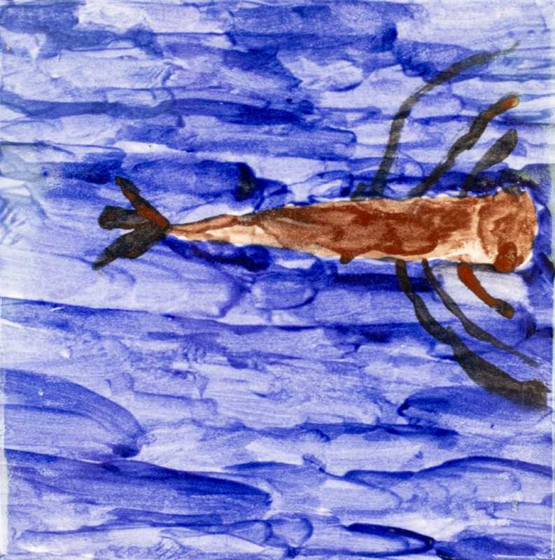 Painting of a brown damselfly larva resting in dark blue water.