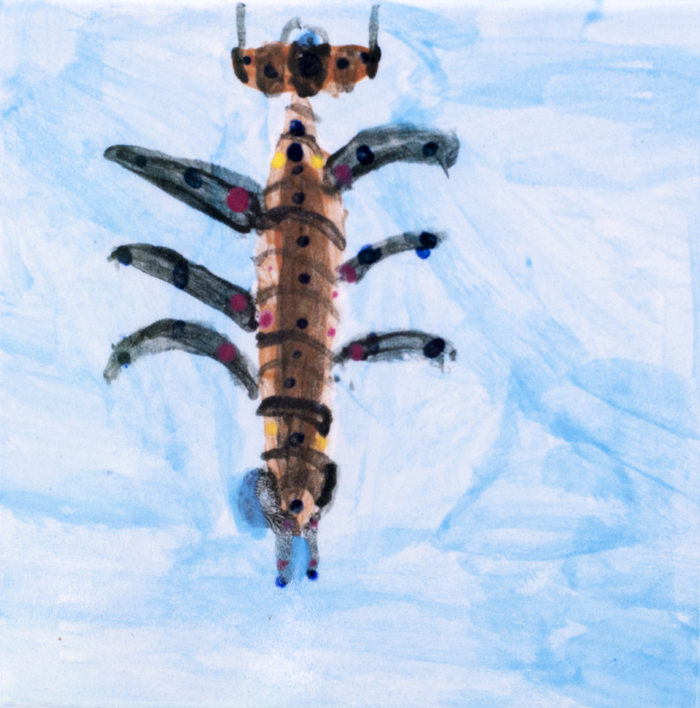 Painting of a predacious diving beetle with a long brown body with colorful dots, and multiple legs, against a light blue background.