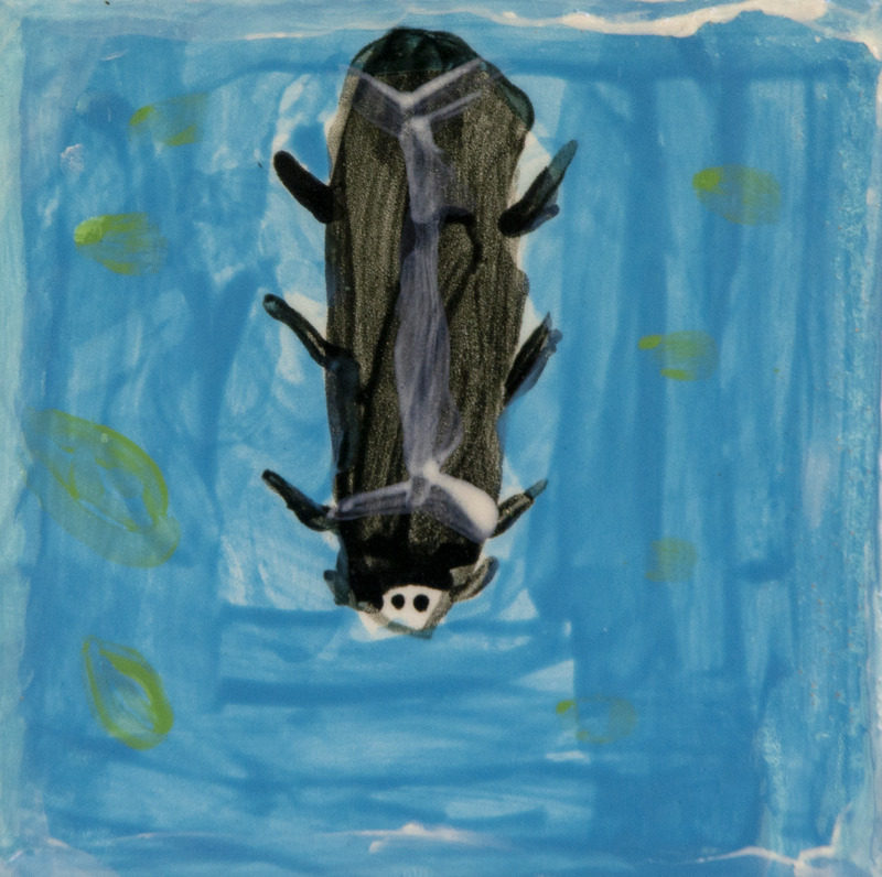Painting of a dark water bug with multiple legs and a pale stripe, floating in blue water.