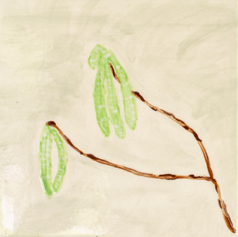 Painting of brown alder branches with five green seed pods on the end of them, and they are in front of a white background.