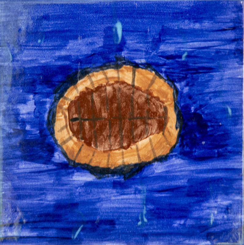 Painting of a water penny insect, shown as a brown oval shape with darker center and radiating lines, set against a deep blue background.
