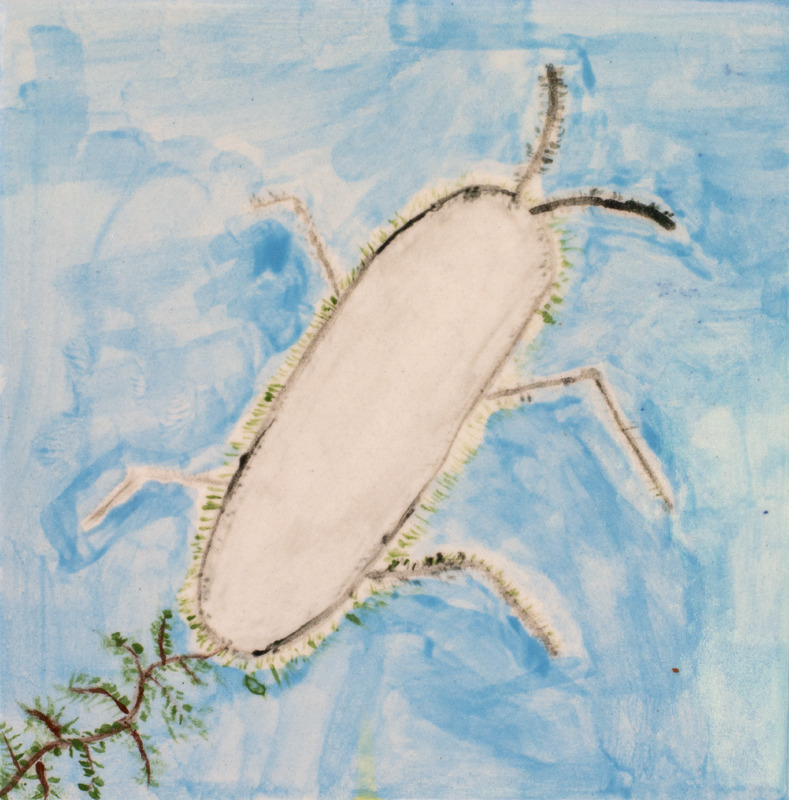 Painting of a white water bug swimming in blue water near a brown and green plant.