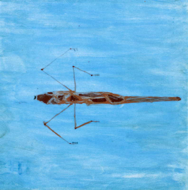 Painting of water strider with four legs in water.