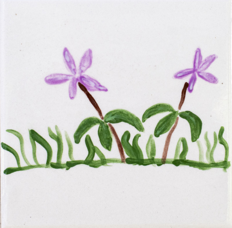 Painting of two purple flowers with five petals in grass against white background.