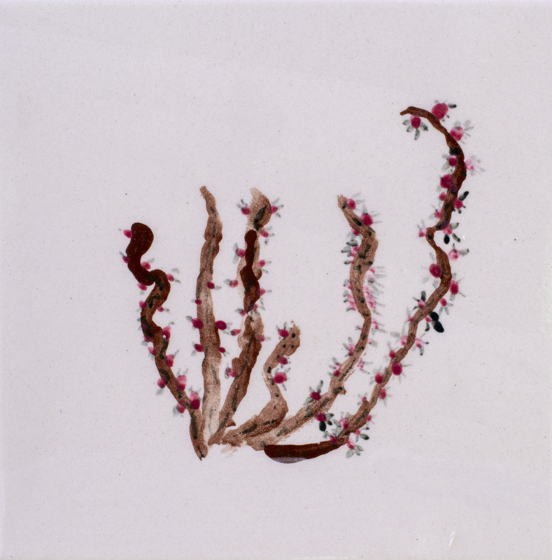 Painting of curved raspberry vines with small pink berries and tiny leaves on a plain background.