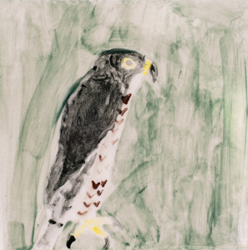 Painting of a falcon against a green background.