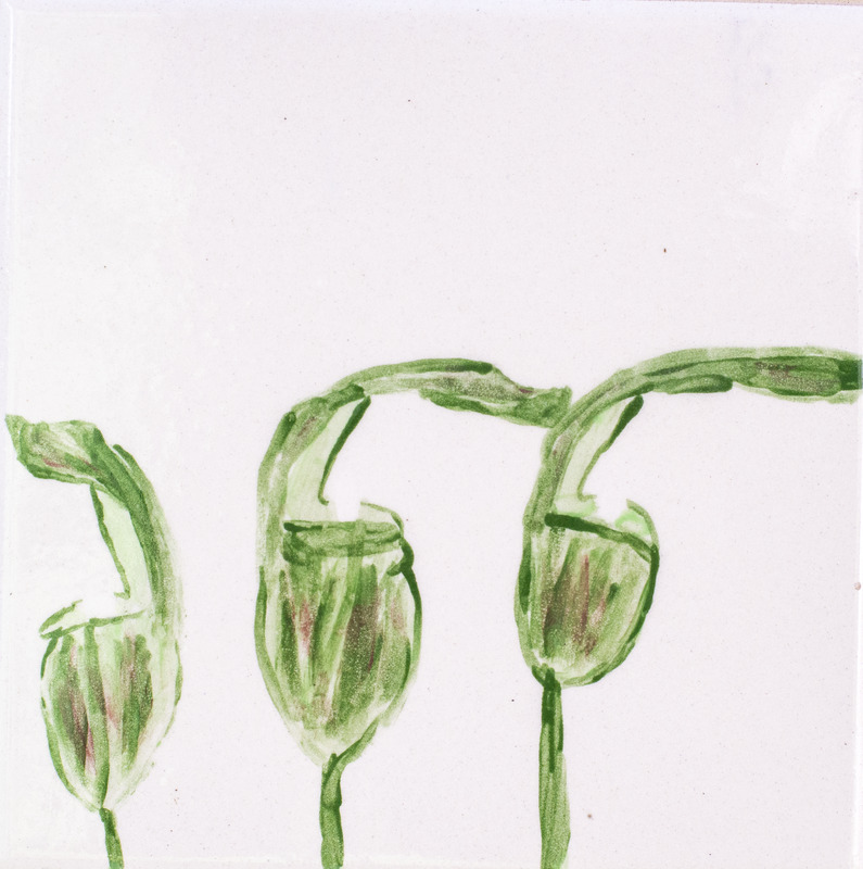 Painting of three green Jack-in-the-Pulpit plants against white background.