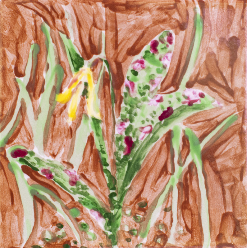 Painting of trout lily with a brown background.