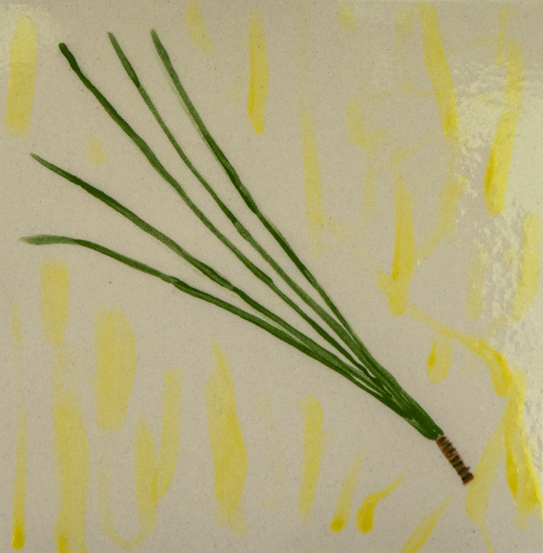 Painting of a white pine needle bundle with several long green needles joined at the base.