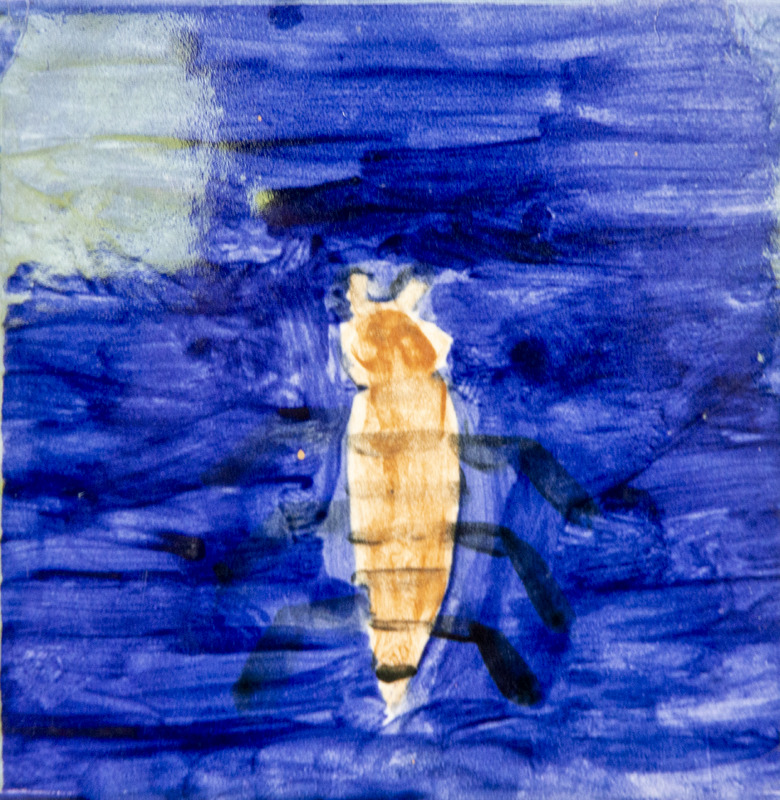 Painting of a brown water bug with black legs and segmented body against a dark blue water background.