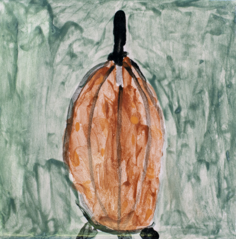Painting of a brown bladdernut seed pod in front of a dark green background.