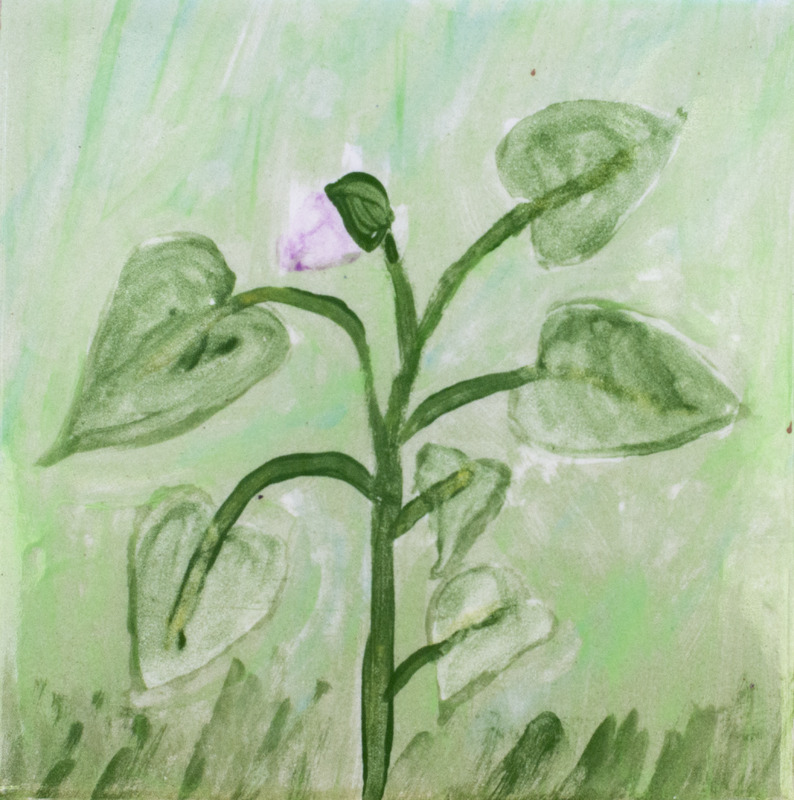 Painting of plant with purple flower bud.