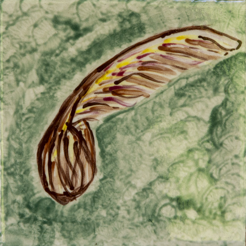 Painting of a single brown samara seed pod streaked with yellow and purple against green background.
