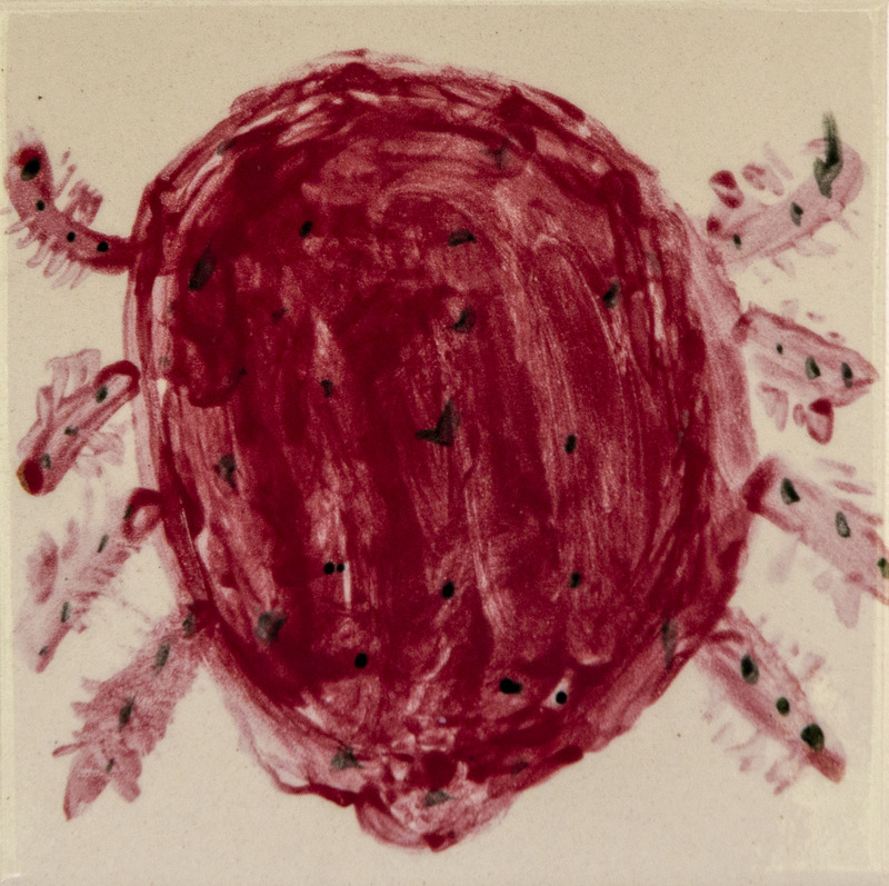 Painting of a red, round water mite with short legs radiating outward and small dark spots on its body.