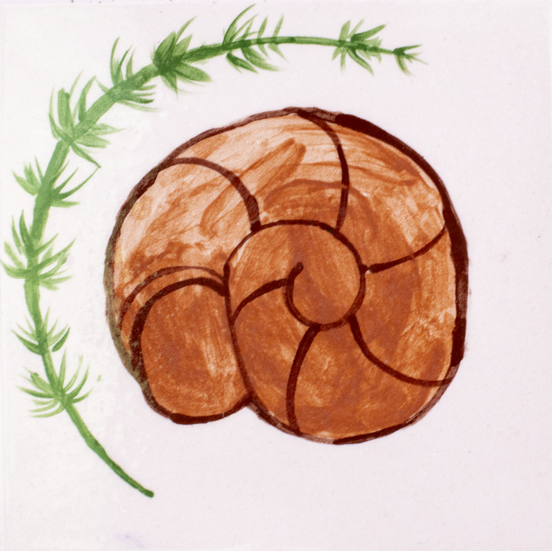 Painting of a snail and hornwart.