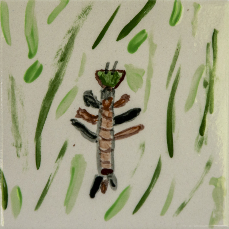 Painting of a damselfly nymph with a long segmented body and side legs, surrounded by green brushstrokes suggesting plants.