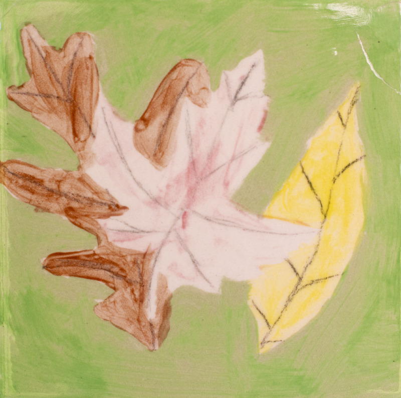 Painting of a brown oak tree leaf, red maple tree leaf, and a yellow walnut tree leaf over a green background.
