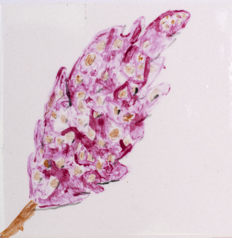 Painting of pink Sumac fruit with brown spots against white background.