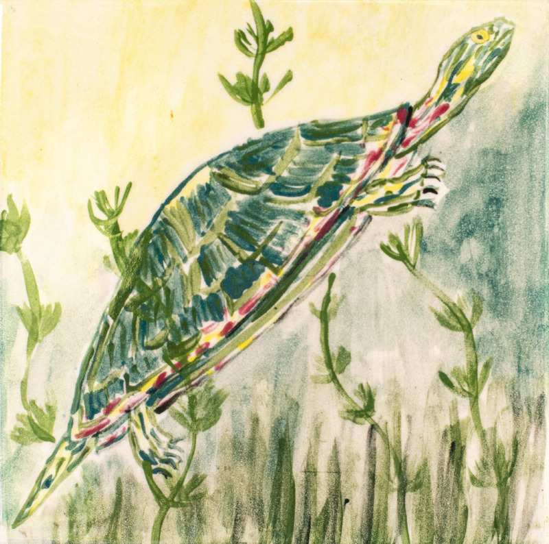 Painting of a green turtle with light green and red details swimming in a pond with plants.