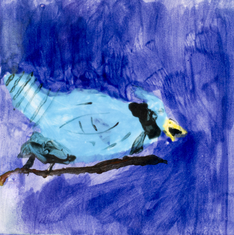 Painting of a blue jay sitting on a branch in front of a dark blue sky.