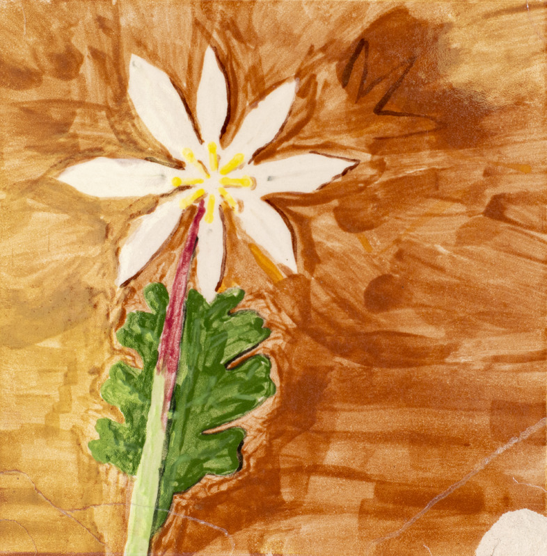 Painting of a white flower with yellow anthers anf a green leaf behind it, over an orange background.
