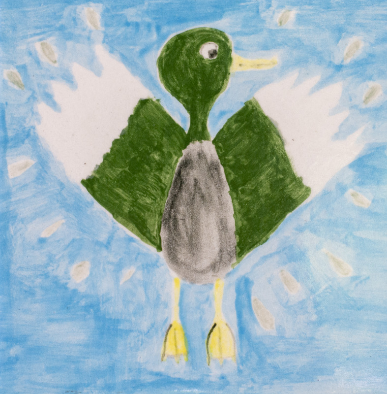 Painting of a mallard spreading its wings in water about to fly.