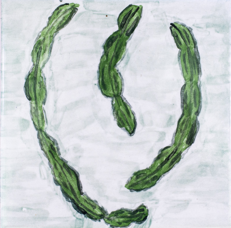 Painting of three stems of hornwort.