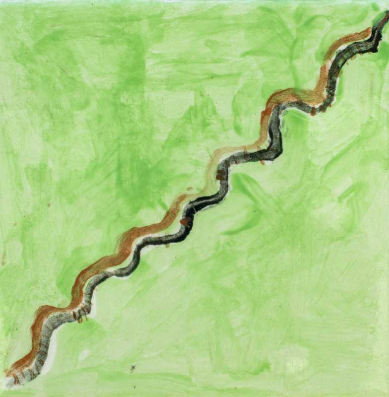 Painting of brown-striped black millipede in grass.