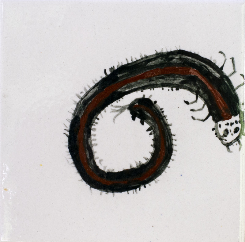 Painting of brown-striped millipede against white background.