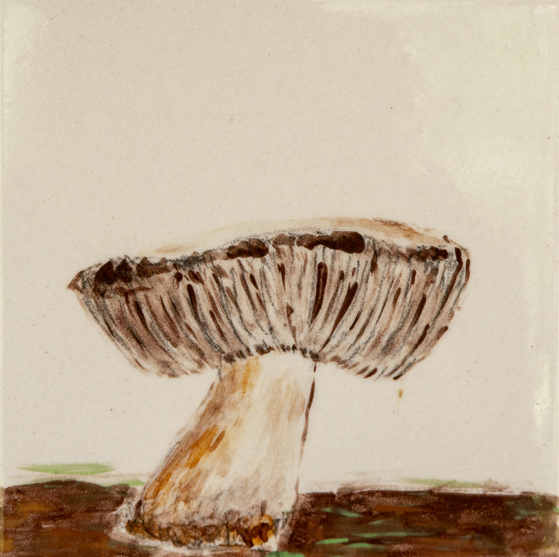 Painting of a large brown mushroom with visible gills and a thick stem growing from dark soil.